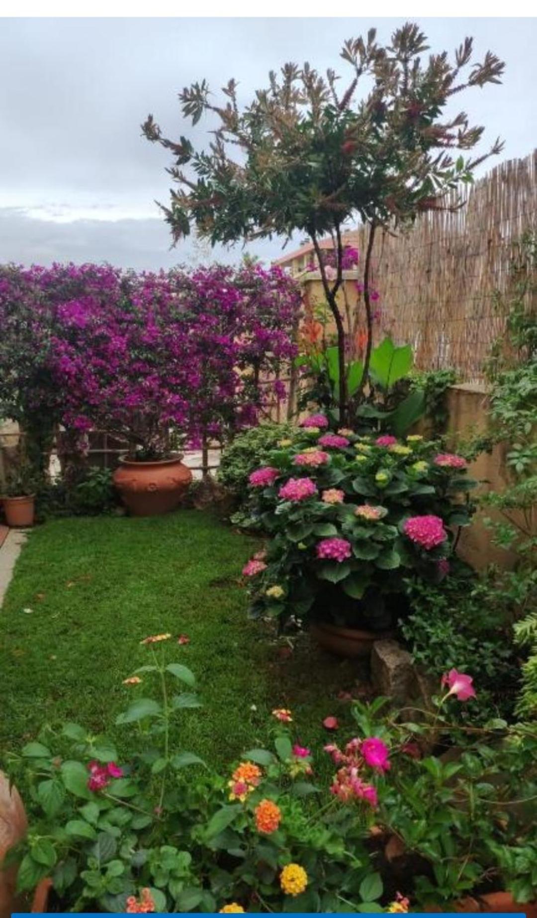 La Casa Di Luca Lejlighed Olbia Eksteriør billede